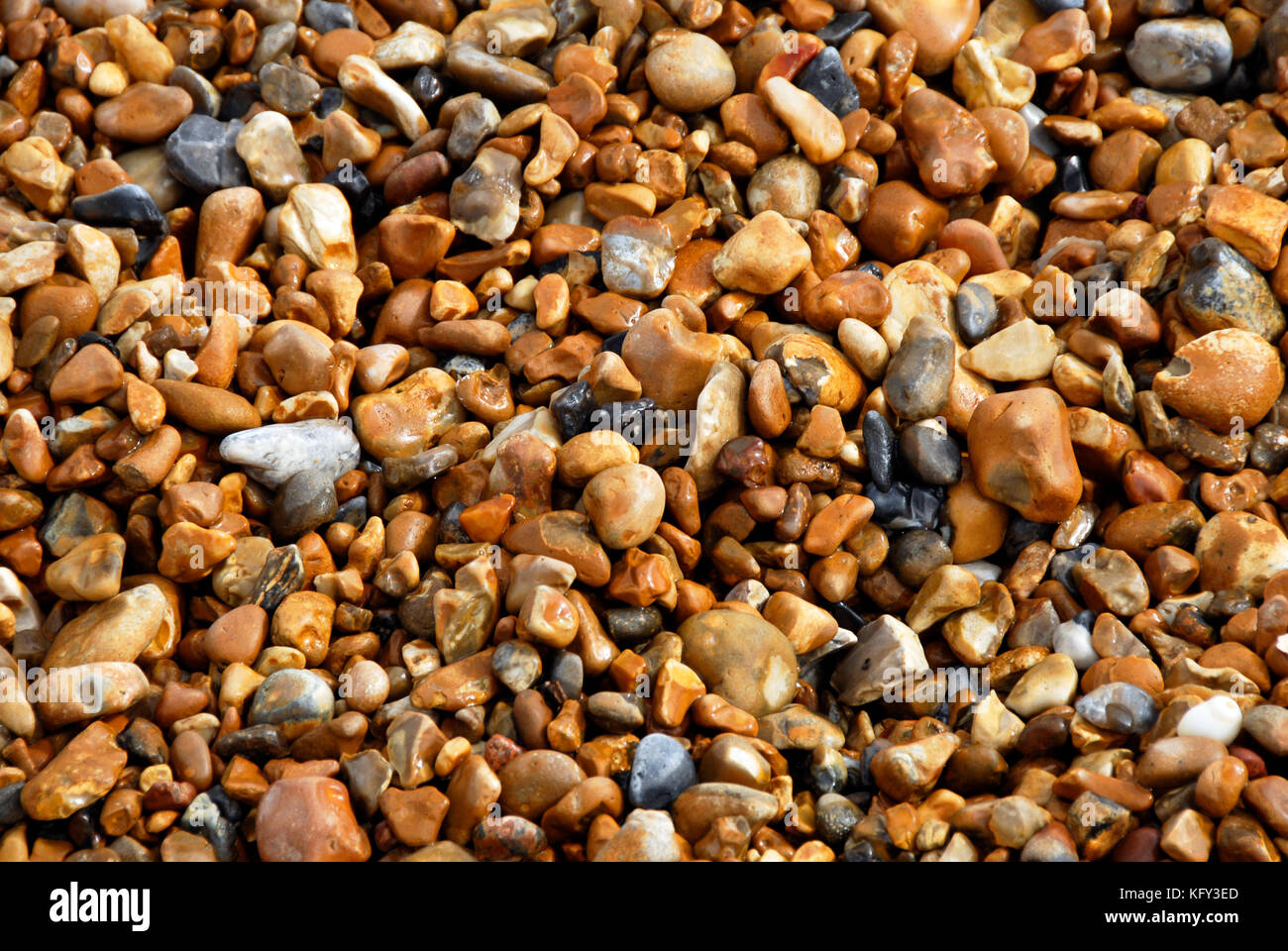 Brown pietre sulla spiaggia ghiaiosa Foto Stock