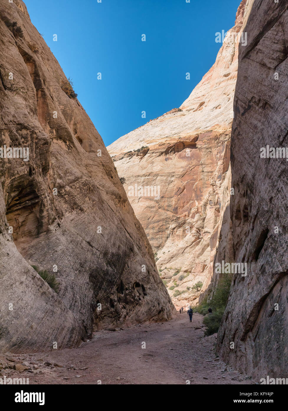 Capitol Gorge Trail a Capitol Reef Utah, USA Foto Stock