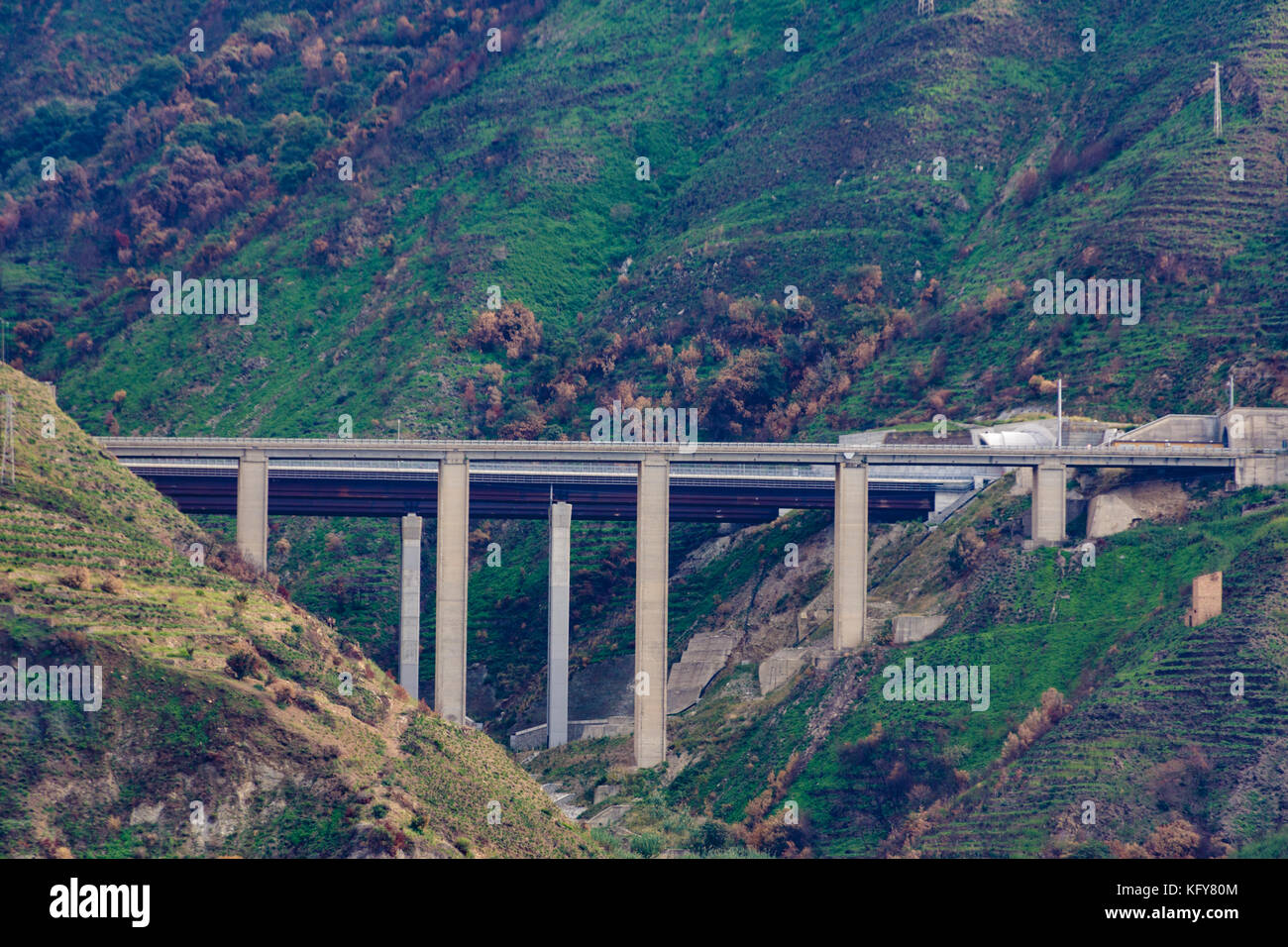 Ponte dell'autostrada attraverso le verdi colline Foto Stock