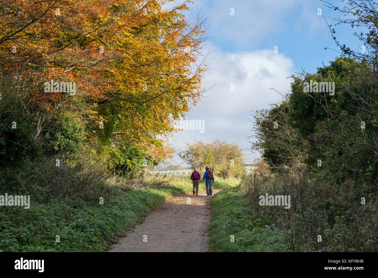 L uomo e la donna a piedi lungo la Ridgeway in autunno, Oxfordshire, Inghilterra Foto Stock