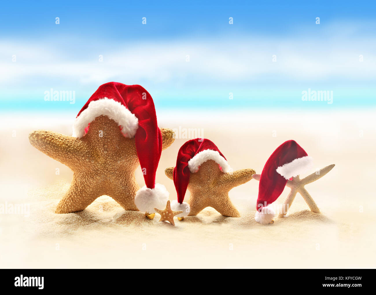 Stella Di Natale In Estate.Stella Di Mare Sulla Spiaggia Di Estate E Santa Hat Buon Natale Foto Stock Alamy