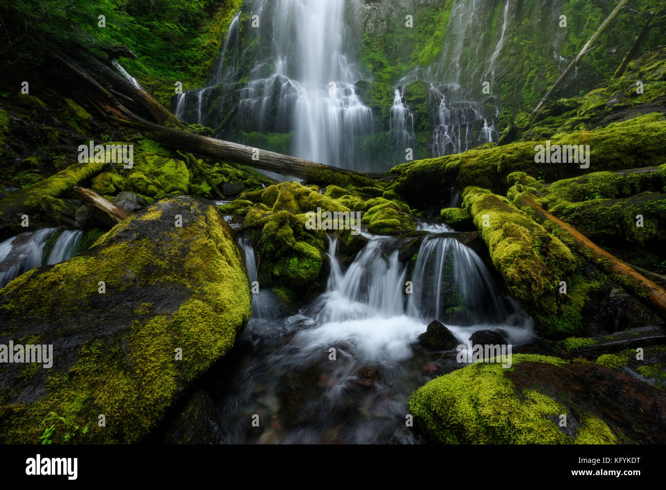 Proxy Falls a luglio, Oregon, Stati Uniti. Alte e belle cascate d'acqua con abbondante acqua che scorre e diversi tronchi marmellata. Foto Stock