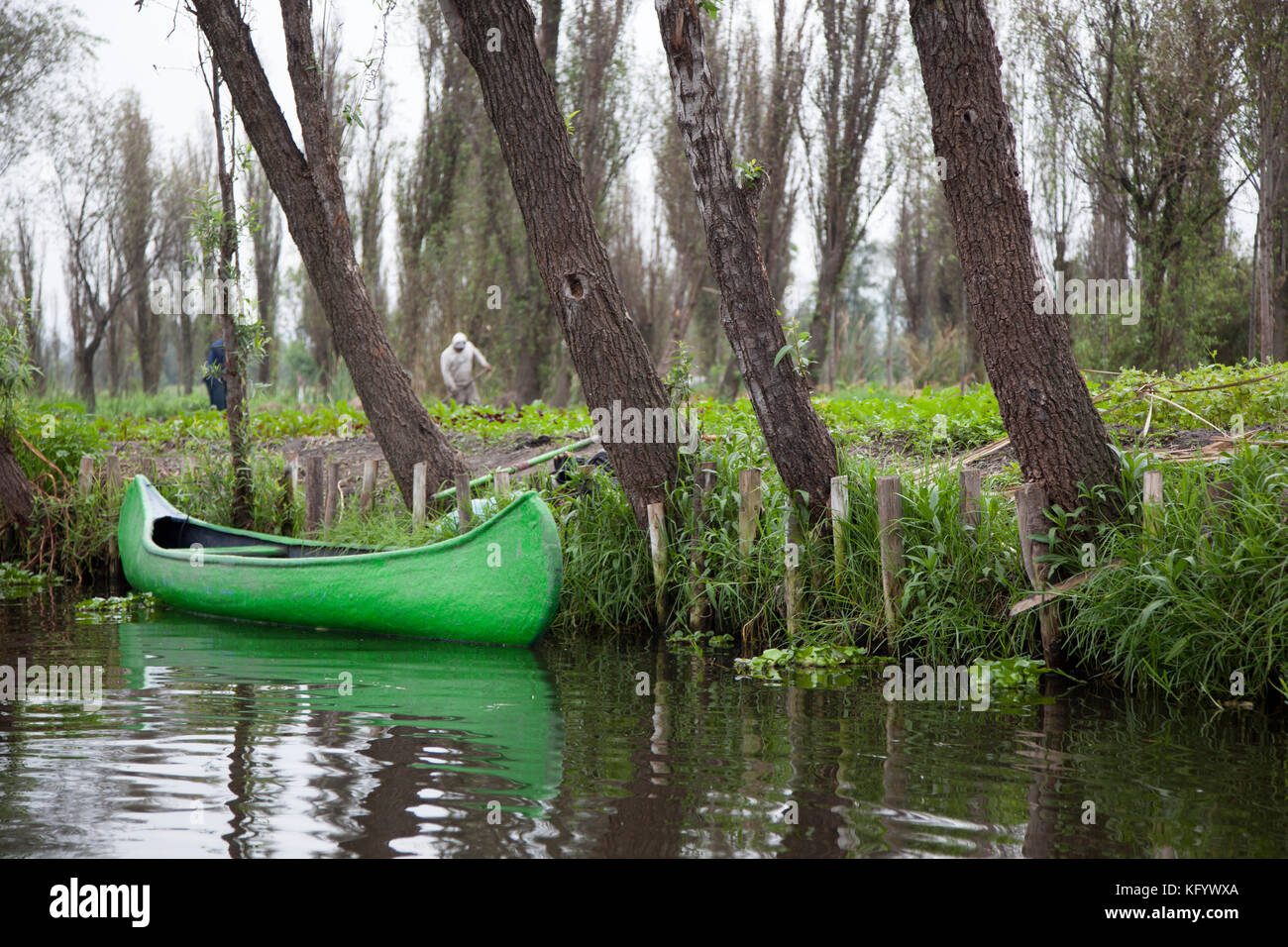 Chinampas, 2200 ettari di terreno sulla riva meridionale del lago di Xochimilco, parte di una vasta rete di laghi e canali che data per gli Aztechi. Foto Stock