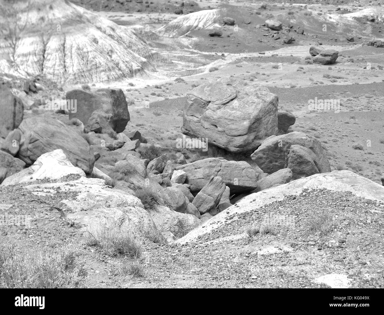 Il Theodore Roosevelt National Park si trova all'uscita dell'Interstate 94 nel North Dakota occidentale Foto Stock