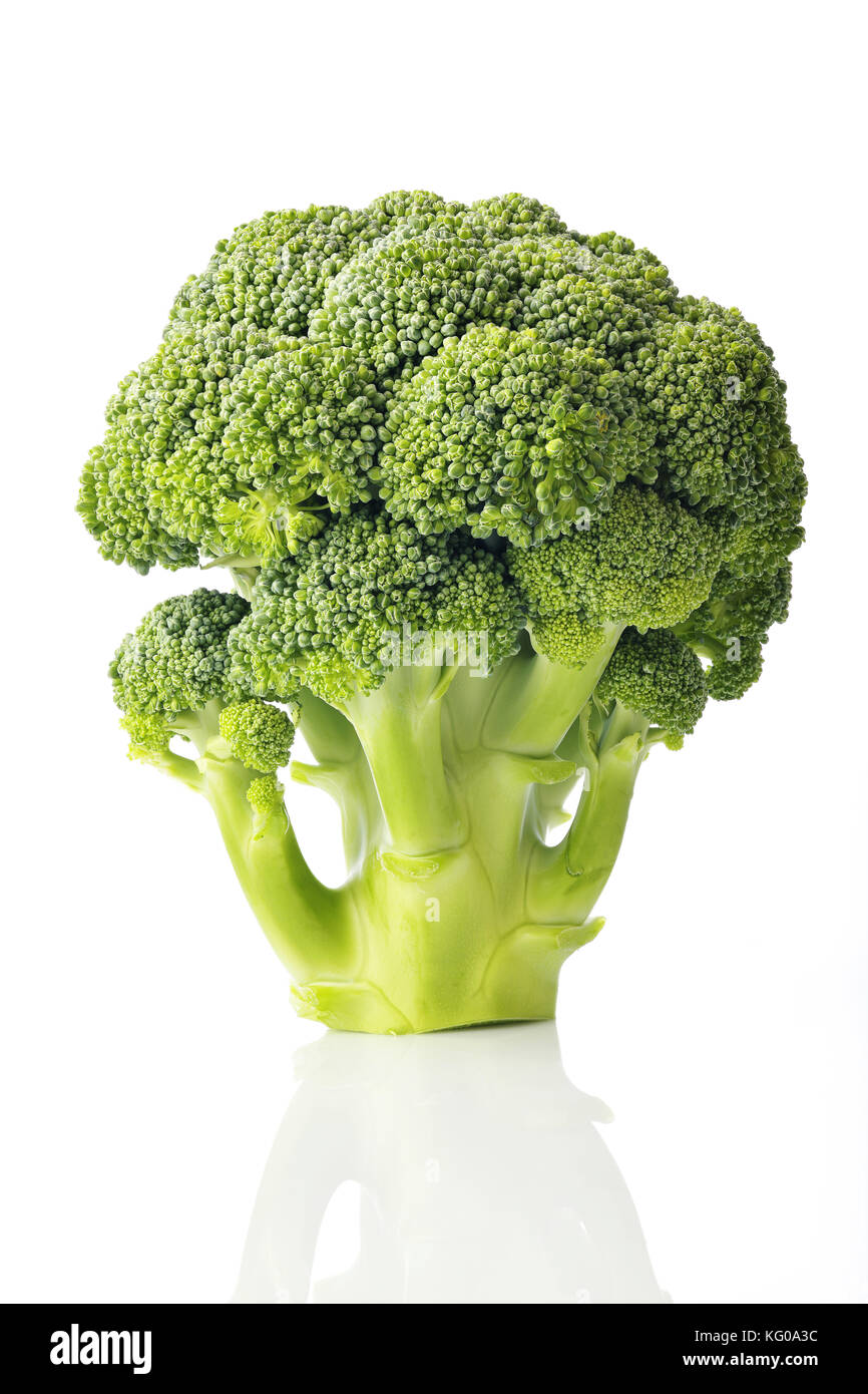 Fresco verde broccoli isolati su sfondo bianco shot in studio Foto Stock