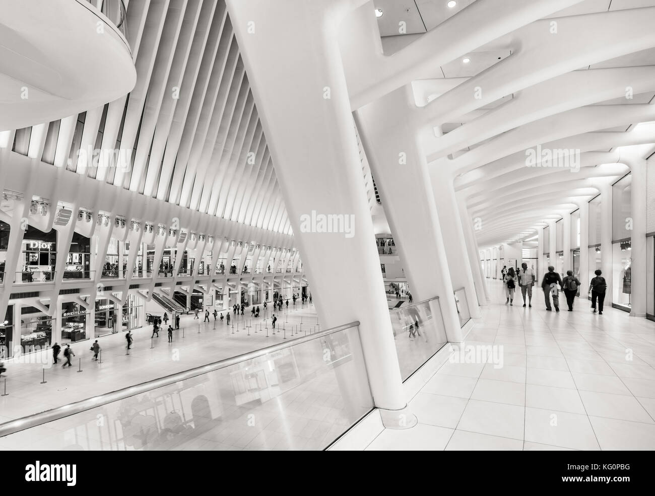 Vista interna dell'occhio, Westfield World Trade Center in bianco e nero. Tranportation hub progettato da Santiago Calatrava. La città di New York Foto Stock