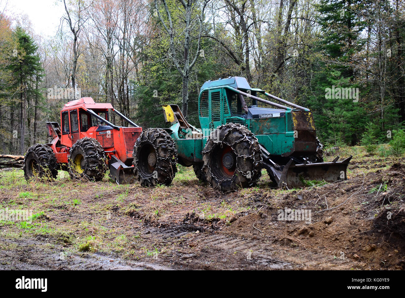 Due log Timberjack trascinatronchi parcheggiato su un log di sbarco nelle Montagne Adirondack. Foto Stock