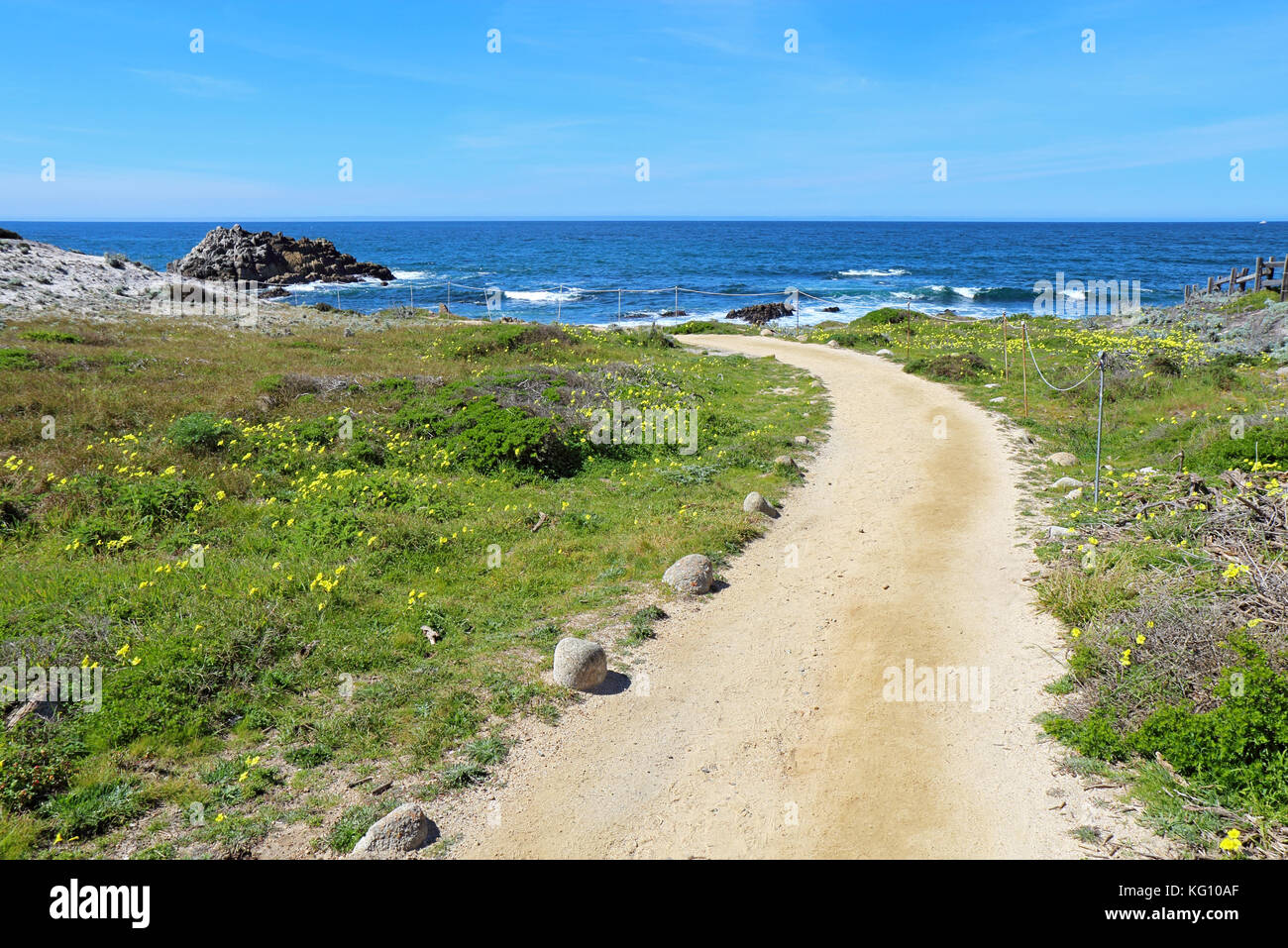 Passerella per le scogliere a stato asilomar beach sulla penisola di Monterey in Pacific Grove, California Foto Stock