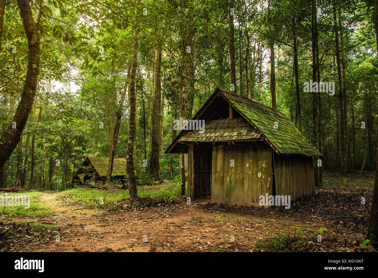Vecchio cottage di legno nella foresta . Foto Stock