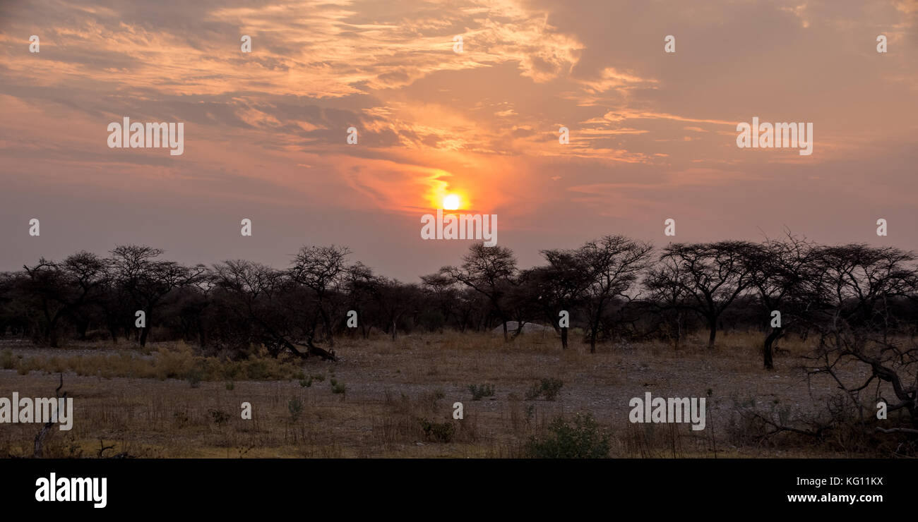 Il sole che tramonta oltre la savana della Namibia Foto Stock