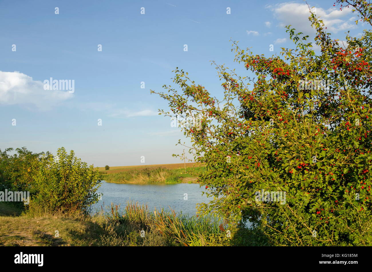 Paesaggio pittoresco con vista del lago in un campo autunnale in area ludogorie, zavet, Bulgaria Foto Stock