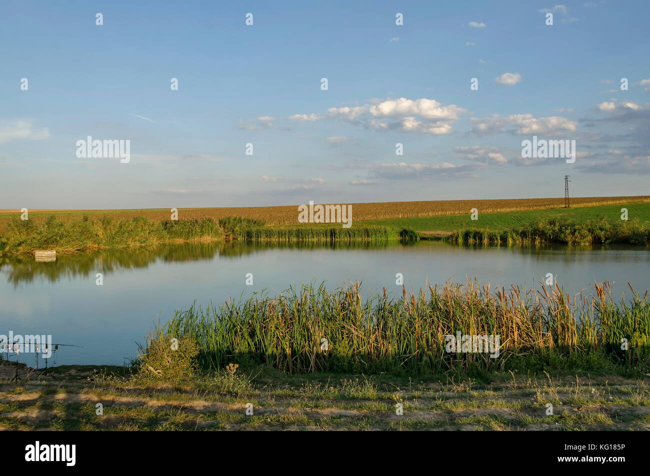 Paesaggio pittoresco con il lago e la canna da pesca nella parte anteriore del campo autunnale, area ludogorie, zavet, Bulgaria Foto Stock