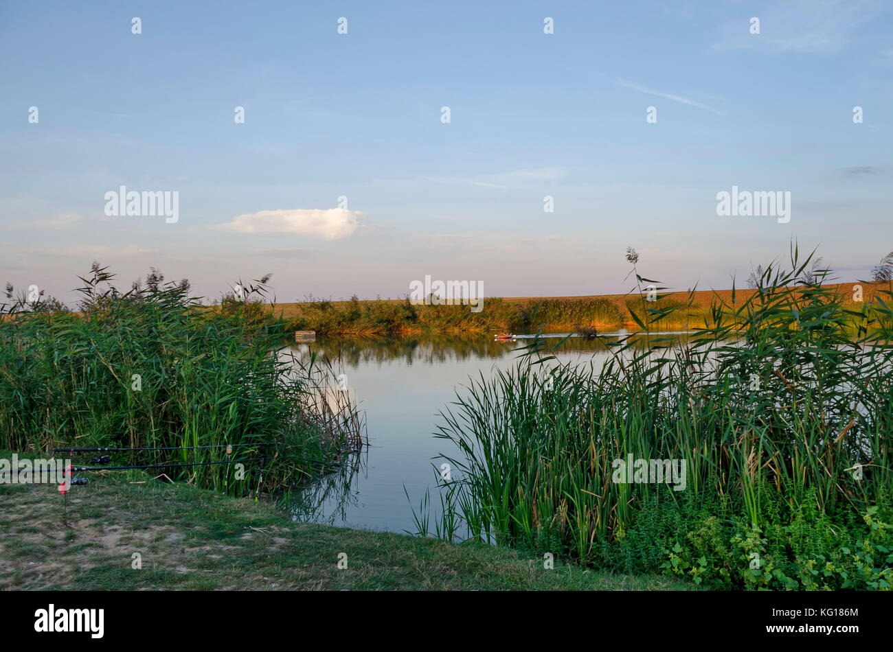 Paesaggio pittoresco con il lago e la canna da pesca nella parte anteriore del campo autunnale, area ludogorie, zavet, Bulgaria Foto Stock