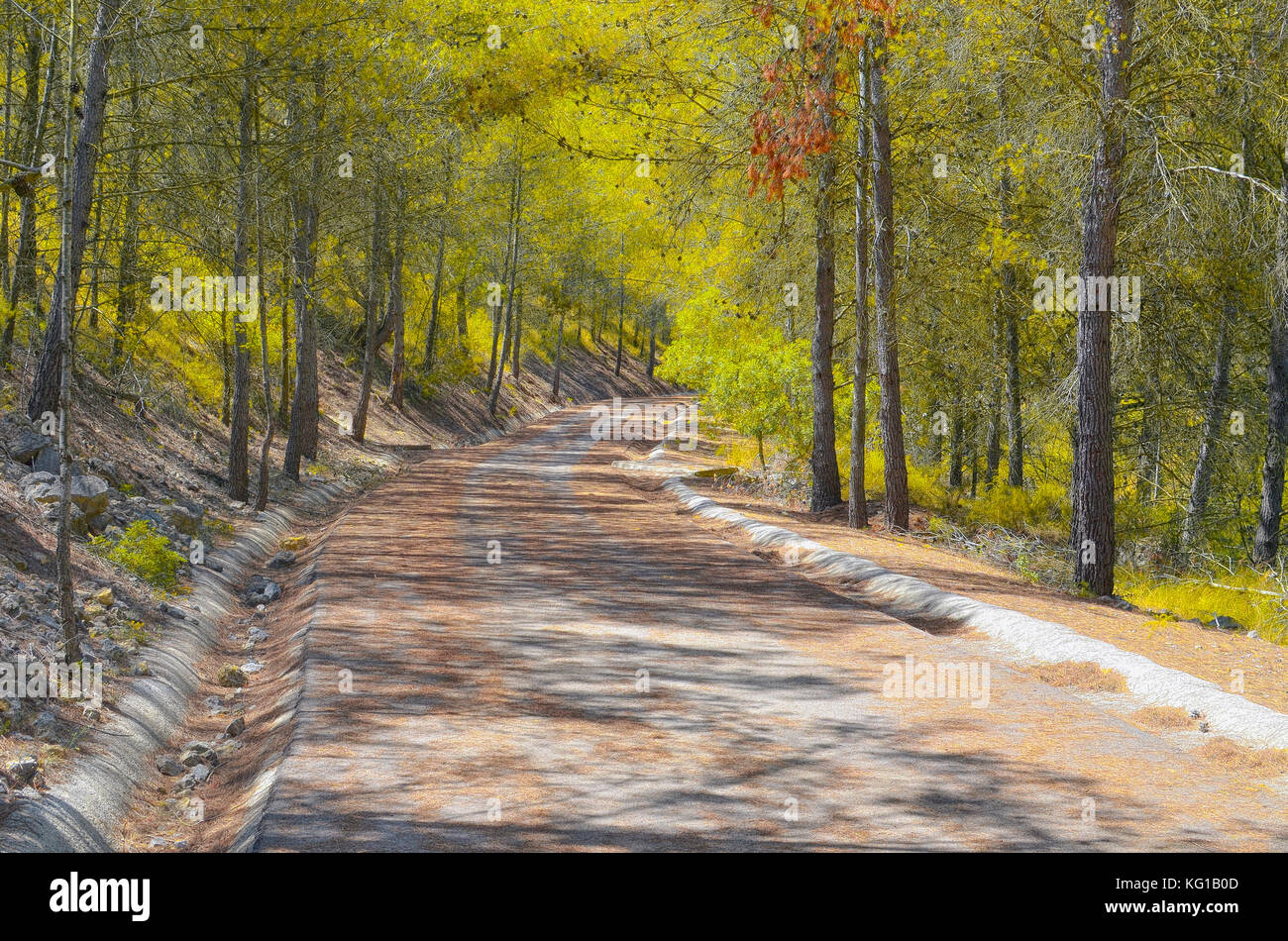 Scena di una strada di montagna con foglie secche sul marciapiede e alberi intorno, con foglie giallastre. Paesaggio colorato. Foresta mediterranea Foto Stock