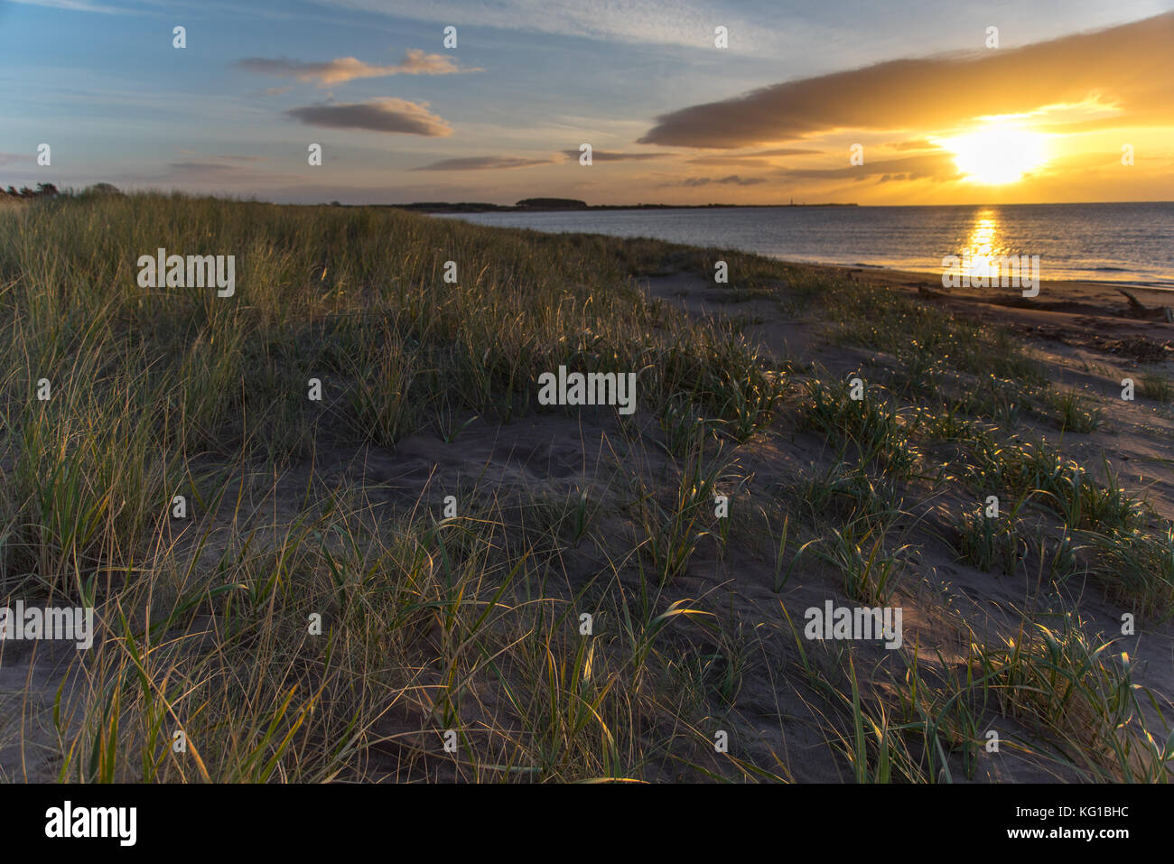 Il tardo autunno sunrise su una spiaggia Foto Stock