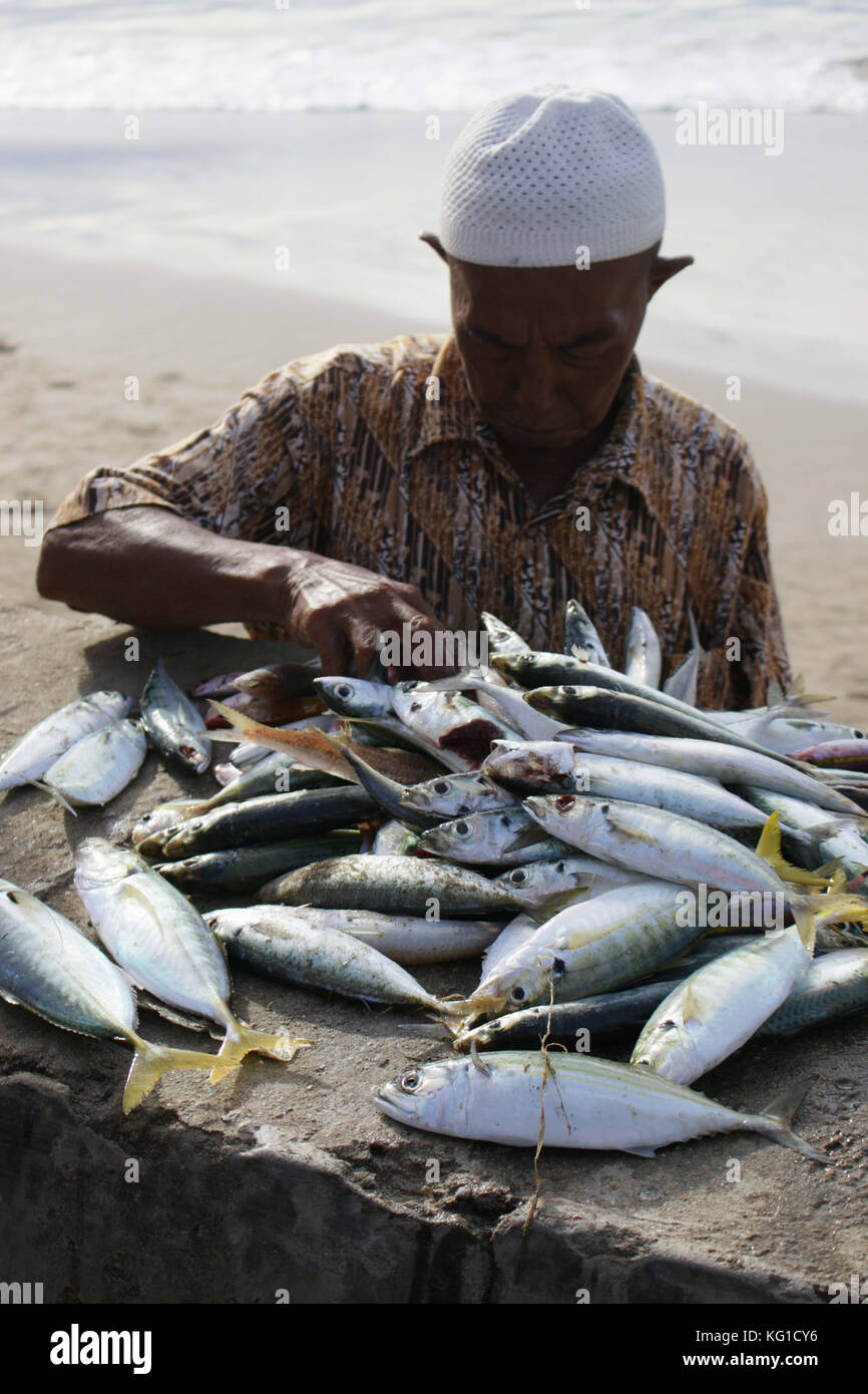 1 novembre 2017 - susoh, Aceh, Indonesia - un pescatore locale visto vendendo i suoi pesci su una roccia accanto ad una spiaggia..il popolo del sud-ovest della provincia di Aceh sono prevalentemente di pescatori e il reddito regionale nella provincia di Aceh è anche per la maggior parte da oceani. Le attività di pesca di portare a casa la cattura è spesso si trova sulla costa ovest di Aceh..a sud-ovest di Aceh prodotti marini sono abbondanti, ma in crescita del prezzo del pesce nella provincia di Aceh di influenzare il tempo. Se il tempo è brutto quindi il prezzo del pesce anche aumento e viceversa. in aggiunta alle attività dei pescatori e vedute del mare della barca nella unicità e bellezza del suo o Foto Stock