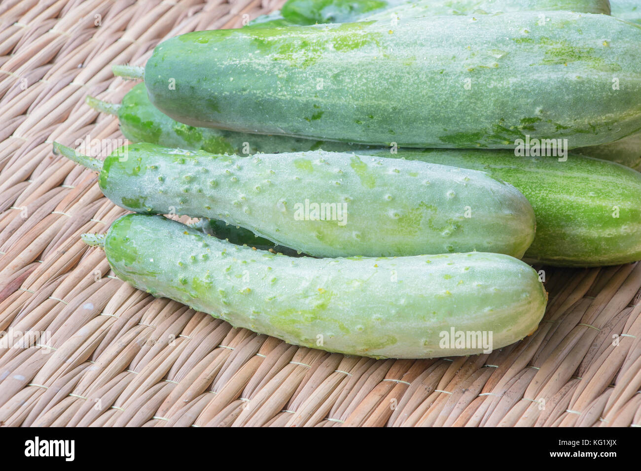 Raw Cetrioli organici.cetriolo foto.cetriolo harvest.L'agricoltura,impianto,Foto Natura. Foto Stock