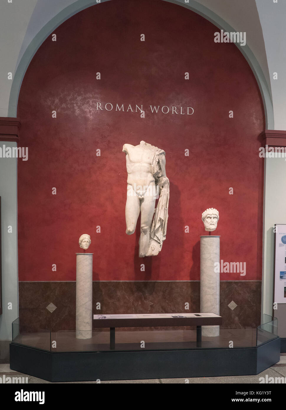 La galleria del mondo Romano, il museo di archeologia e antropologia dell'Università della Pennsylvania, Philadelphia, Pennsylvania, USA Foto Stock
