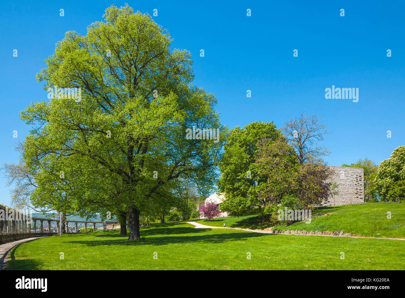 Kassel, Hessen, Germania Deutschland Grimm Welt Kassel Foto Stock