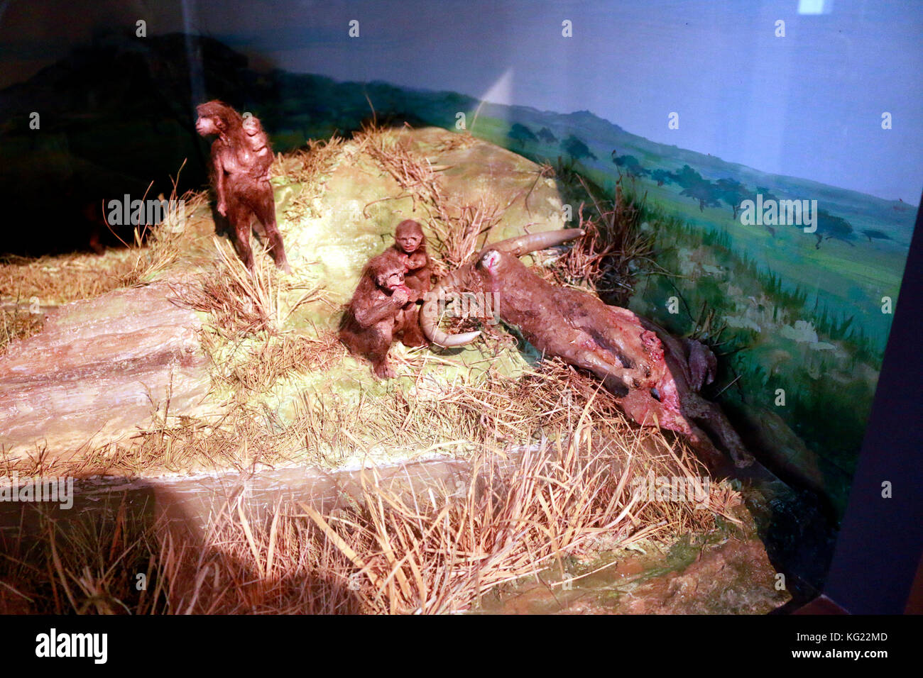 Menschen der steinzeit, evtl. neandertaler, Berlino. Foto Stock