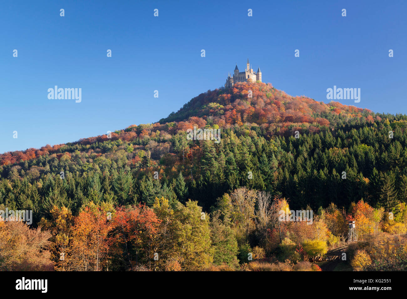 Hohenzollern Castello in autunno, Alpi sveve, BADEN-WURTTEMBERG, Germania, Europa Foto Stock