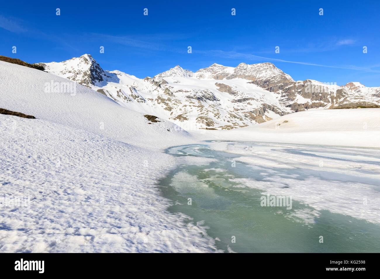 La molla del disgelo al Passo Bernina, st moritz, alta Engadina nel cantone dei Grigioni, Svizzera, Europa Foto Stock