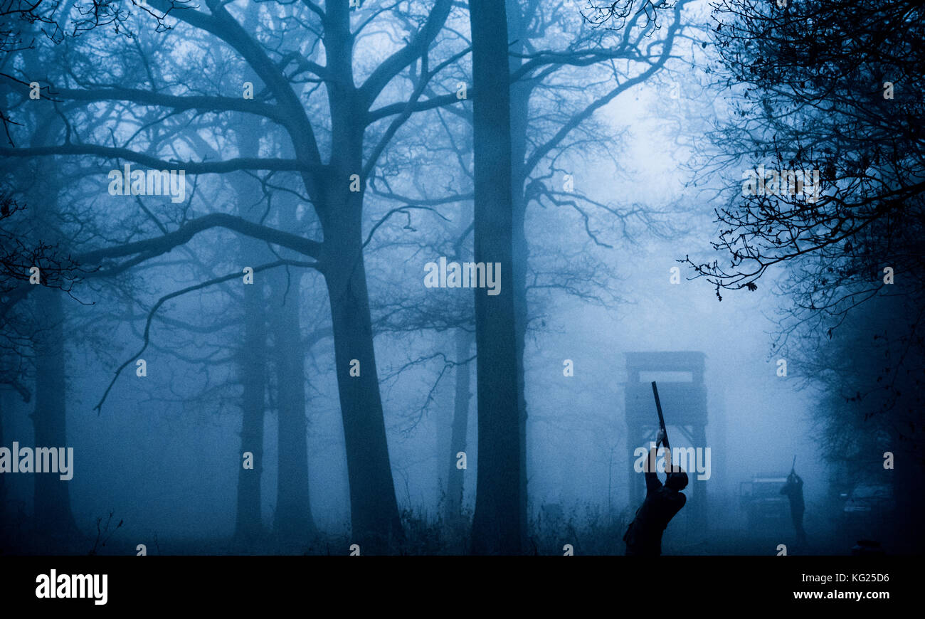 Silhouette della pistola sul gioco spara, Norfolk, Inghilterra, Regno Unito, Europa Foto Stock