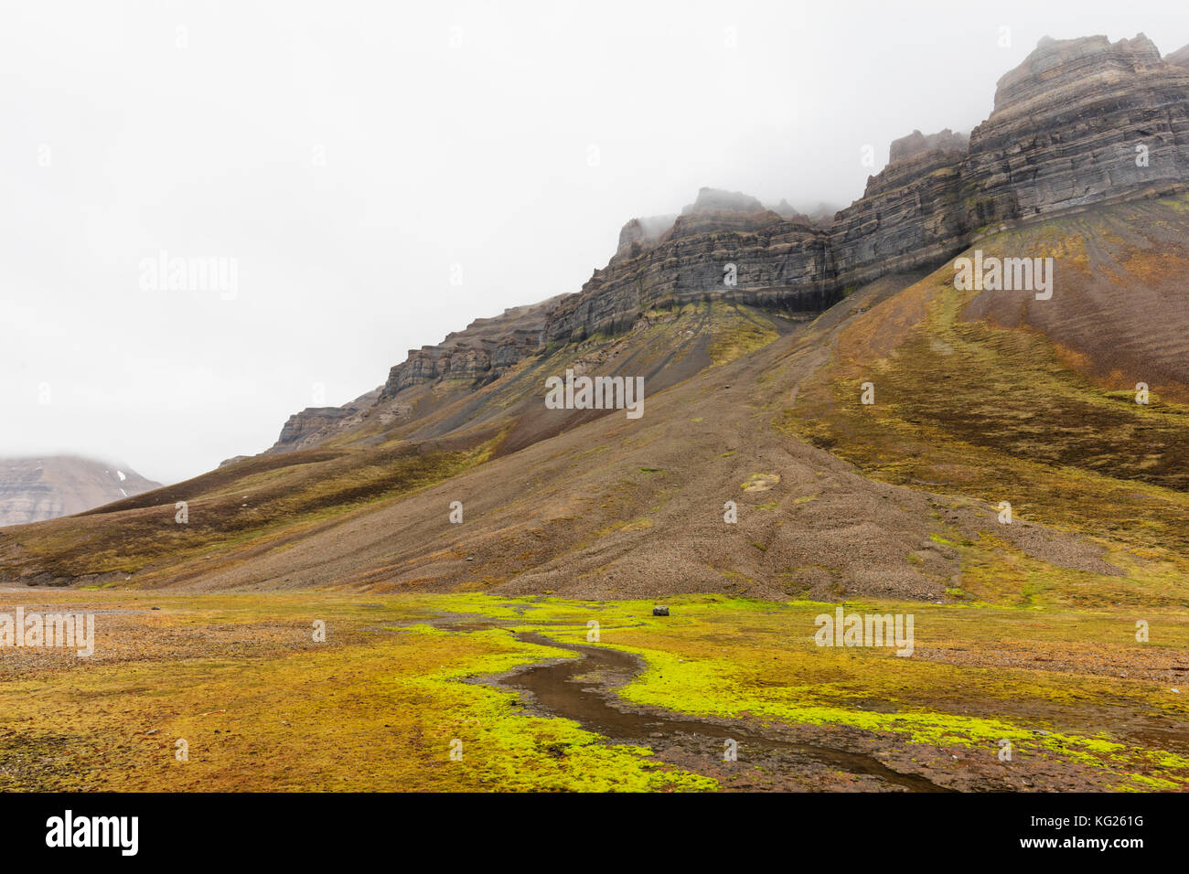 Skansen nel billefjorden, spitsbergen, svalbard artico, Norvegia, europa Foto Stock