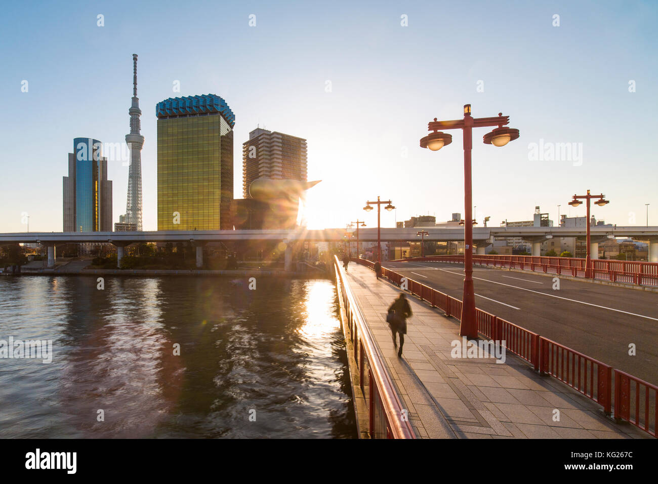 Skyline della città e Skytree sul fiume Sumida all'alba, Tokyo, Giappone, Asia Foto Stock