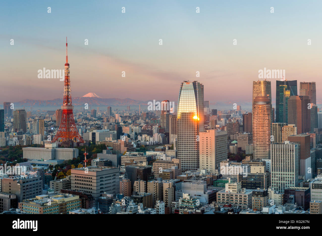 Vista serale sopraelevata dello skyline della città e dell'iconica Tokyo Tower, Tokyo, Giappone, Asia Foto Stock