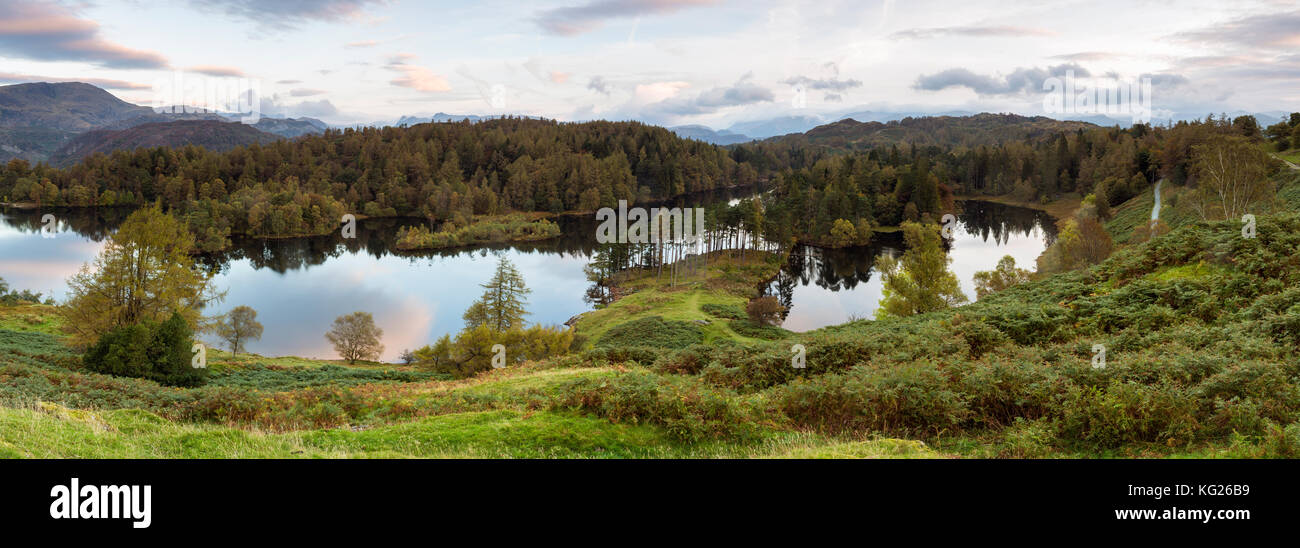 Tarn Hows vicino hawkshead, parco nazionale del distretto dei laghi, sito patrimonio mondiale dell'unesco, cumbria, England, Regno Unito, Europa Foto Stock