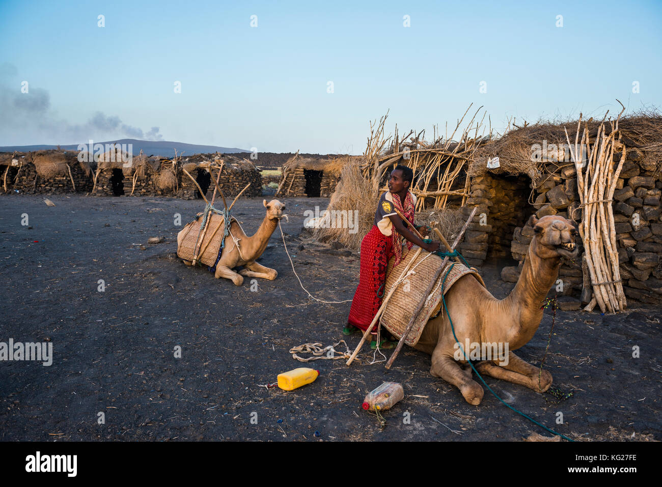 Uomo afar caricando un cammello in un accampamento sul piede dell'Erta Ale, danakil depressione, Etiopia, Africa Foto Stock