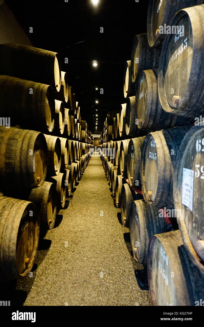 Taylors Casa Porto, porto (porto), Portogallo, Europa Foto Stock