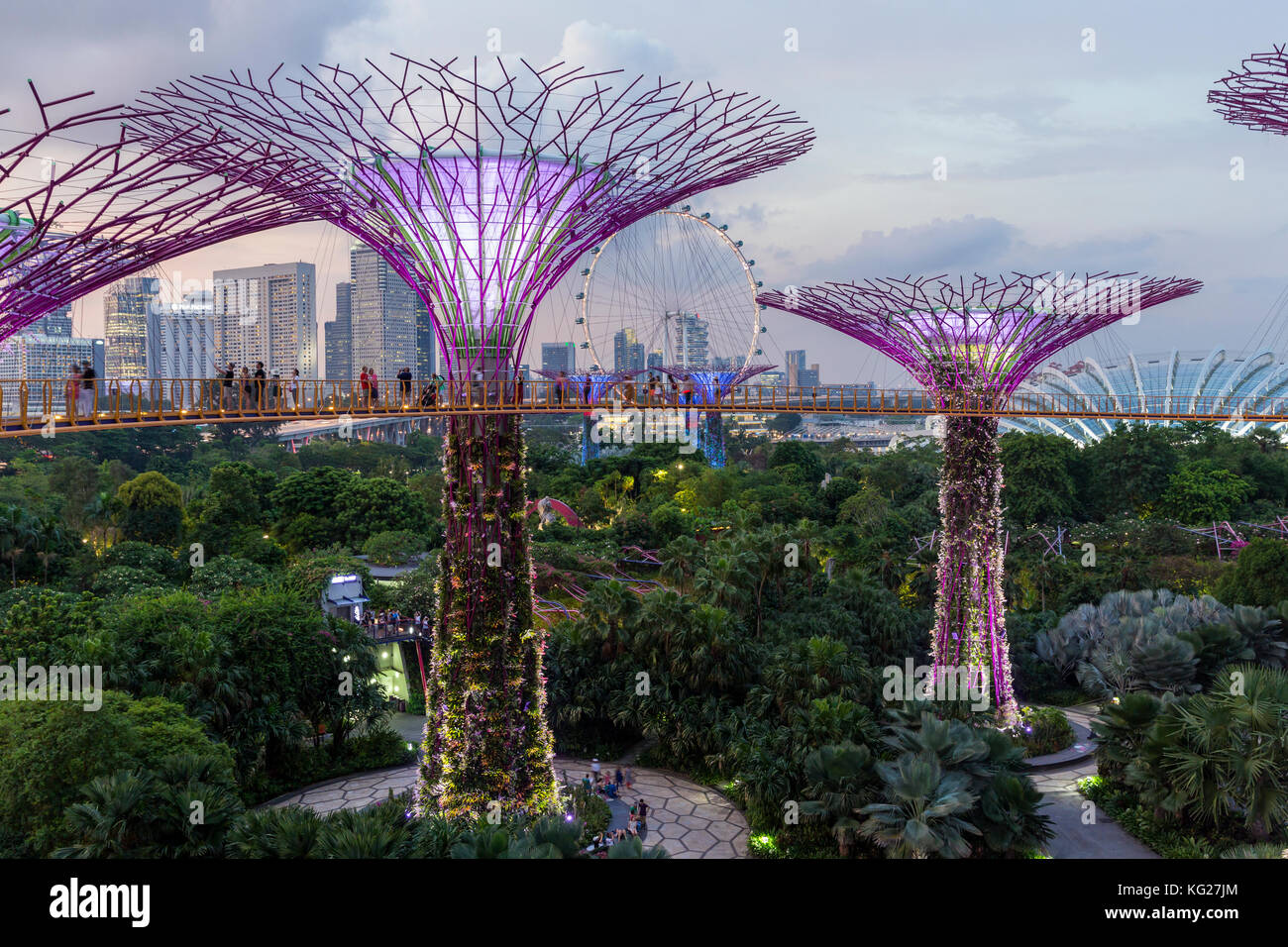 Supertrees presso i giardini dalla baia, illuminata di notte, Singapore, Sud-est asiatico, in Asia Foto Stock