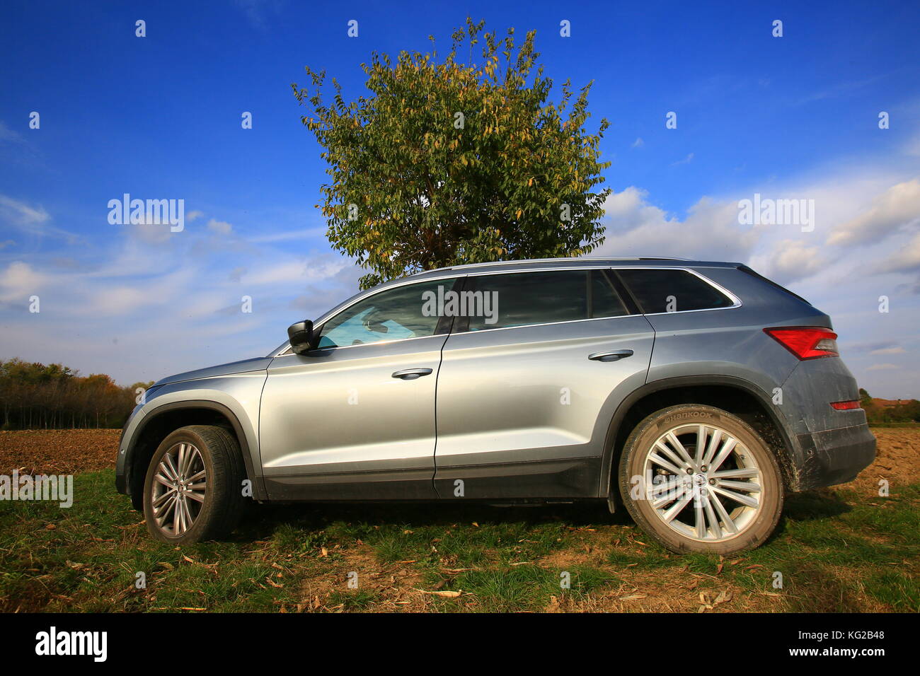 Skoda kodiaq MY2018 Foto Stock
