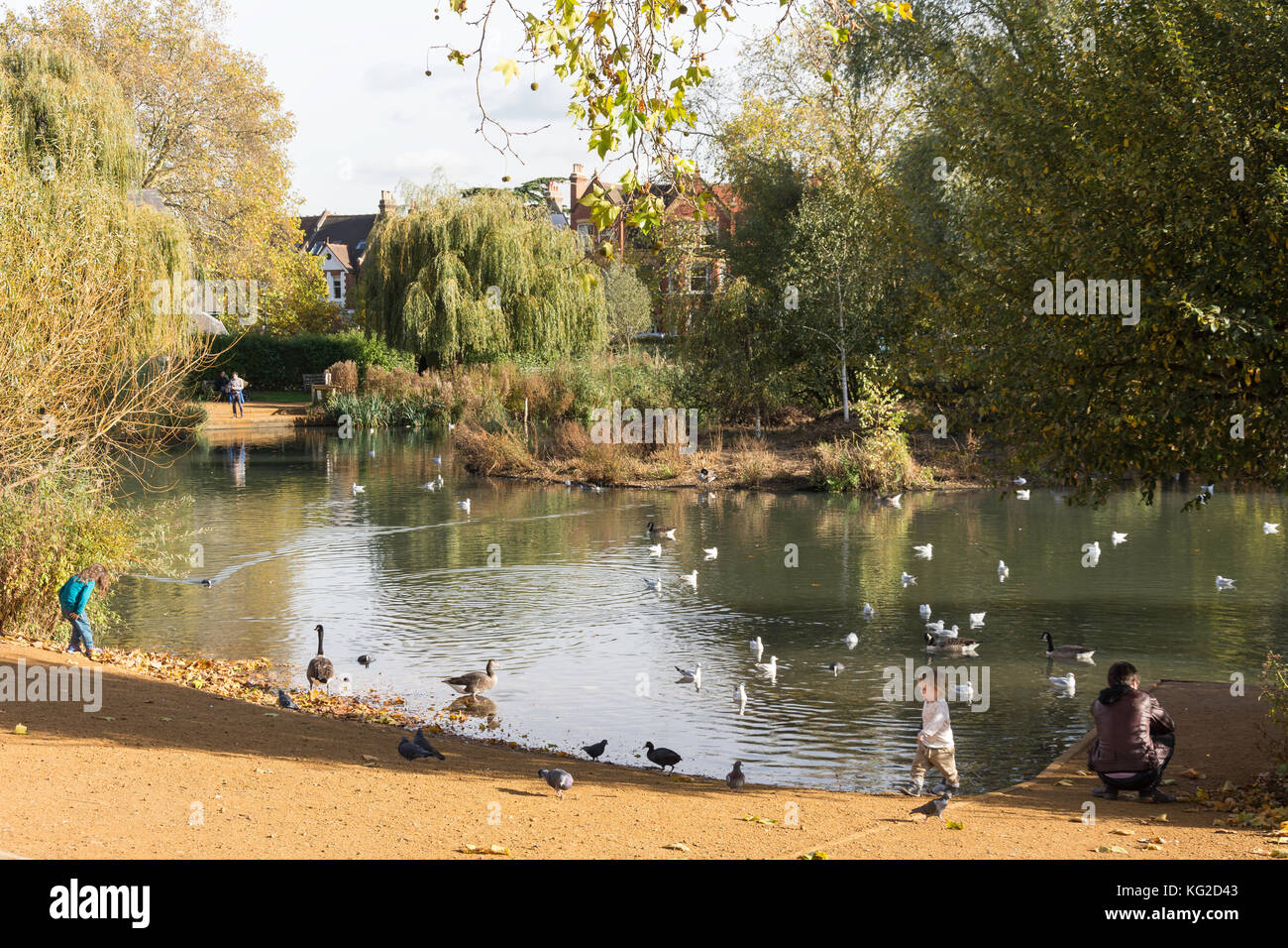 Barnes stagno sul verde, Barnes, London Borough of Richmond upon Thames, Greater London, England, Regno Unito Foto Stock