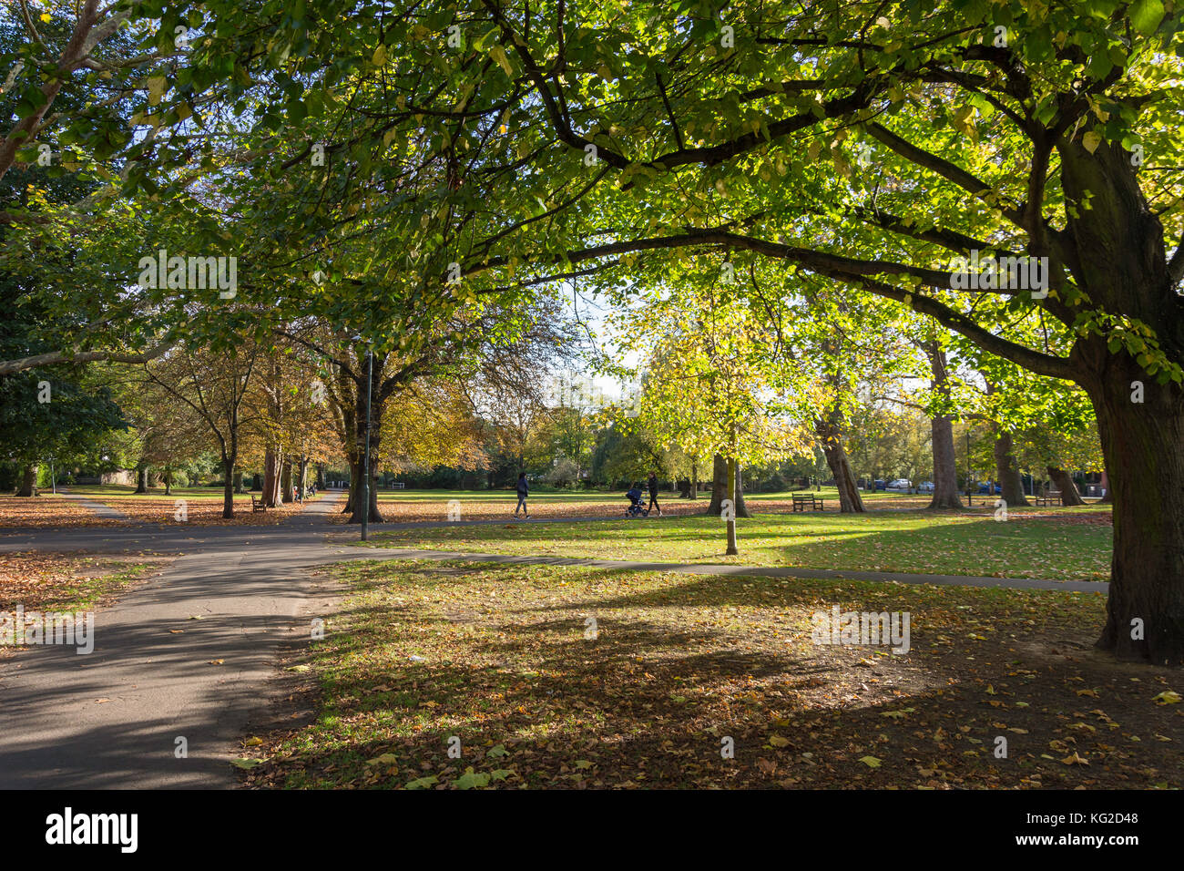 Barnes verde in autunno, Barnes, London Borough of Richmond upon Thames, Greater London, England, Regno Unito Foto Stock