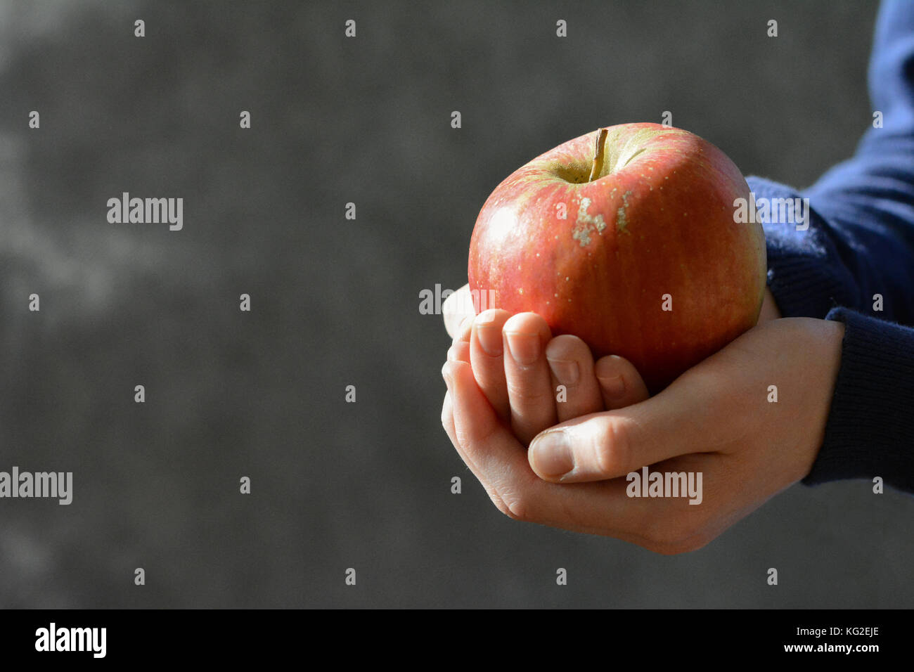 Mani tenendo un rosso mela matura - blu marino sleves Foto Stock