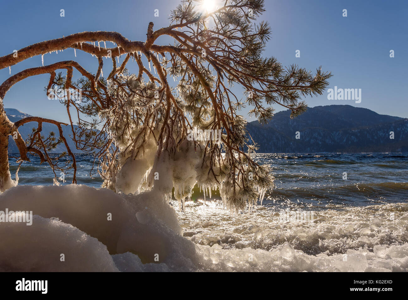Bellissimi paesaggi invernali con il lago e le montagne di ghiaccio, sulla riva, i riflessi del sole sull'acqua e rami di pino con ghiaccioli in una giornata di sole Foto Stock