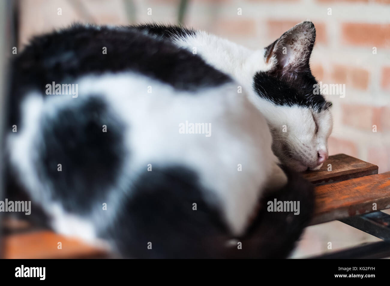 Aztec 6x4" Slip-in Memo Photo Album For 300 Prints - Blue - Foto 8