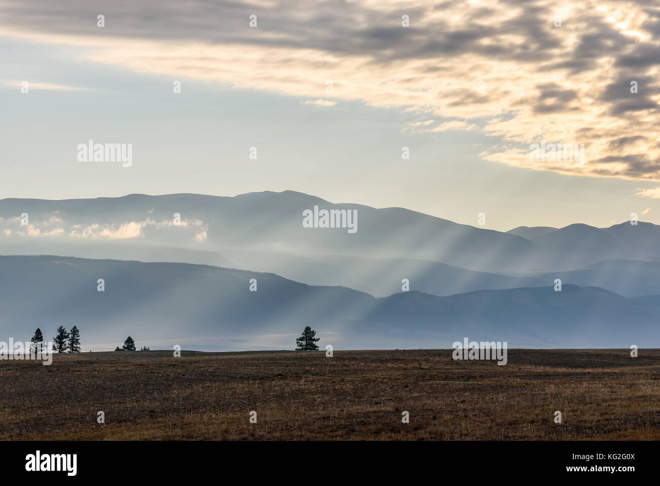 Vista panoramica con alberi, montagne, raggi del sole e la nebbia nella steppa all'alba Foto Stock