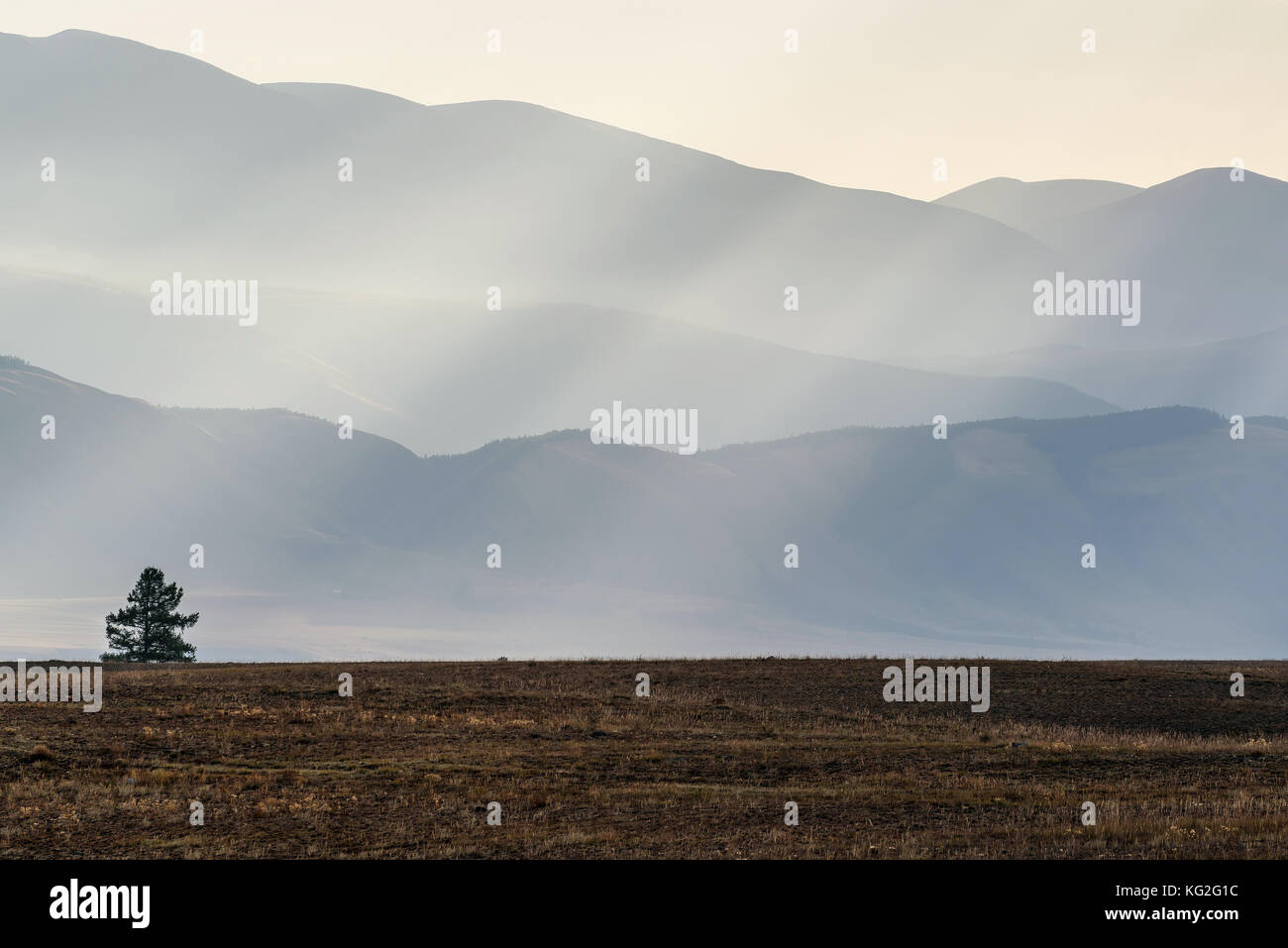 Vista panoramica con alberi, montagne, raggi del sole e la nebbia nella steppa all'alba Foto Stock