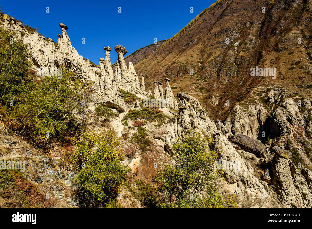 Scenic autunno vista con alte rocce sotto forma di funghi di pietra su uno sfondo di montagne e il cielo blu Foto Stock