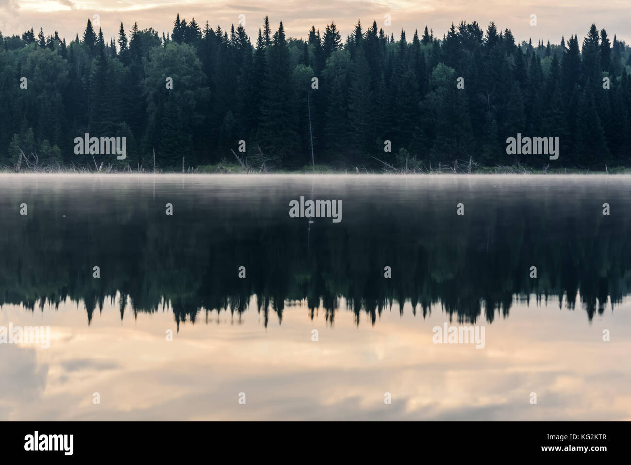 Vista panoramica con la foresta, nebbia e nuvole che riflette nell'acqua liscia del lago all'alba Foto Stock