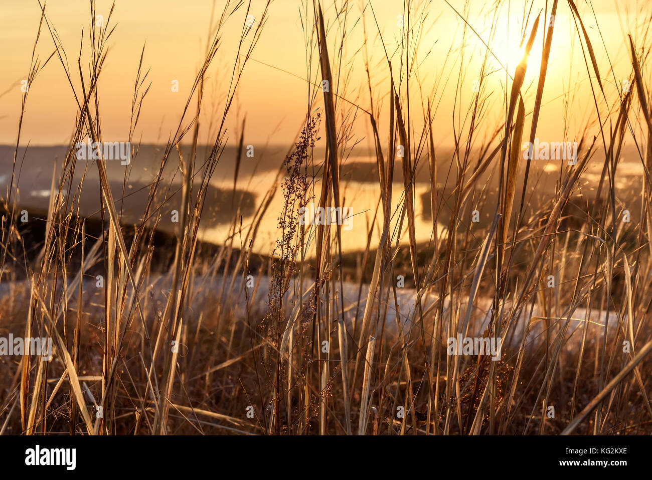 Bellissimo sfondo astratto di erba secca sulla riva di un fiume di avvolgimento nella luce dorata al tramonto Foto Stock