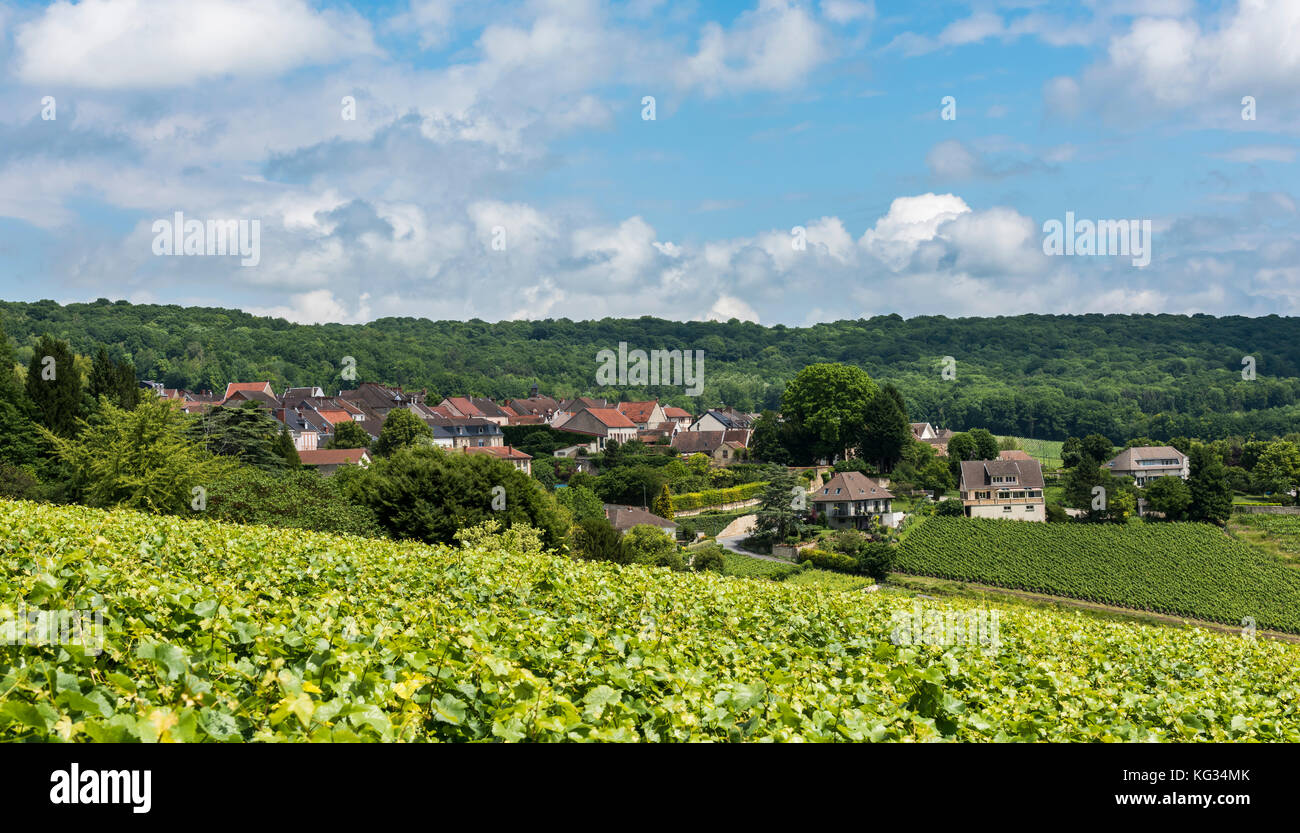 La città di hautvillers con vigneti dello champagne districht in Francia  Foto stock - Alamy