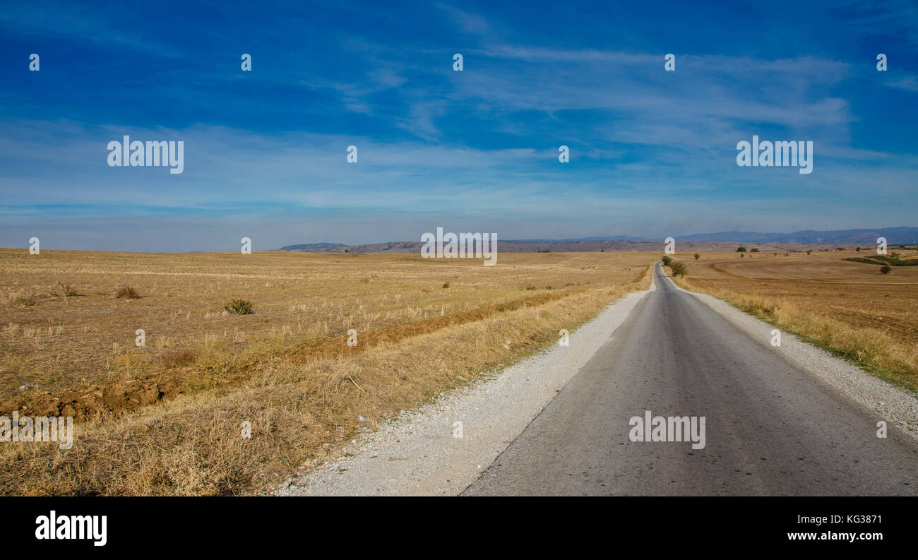 Strada infinita in campo giallo Foto Stock