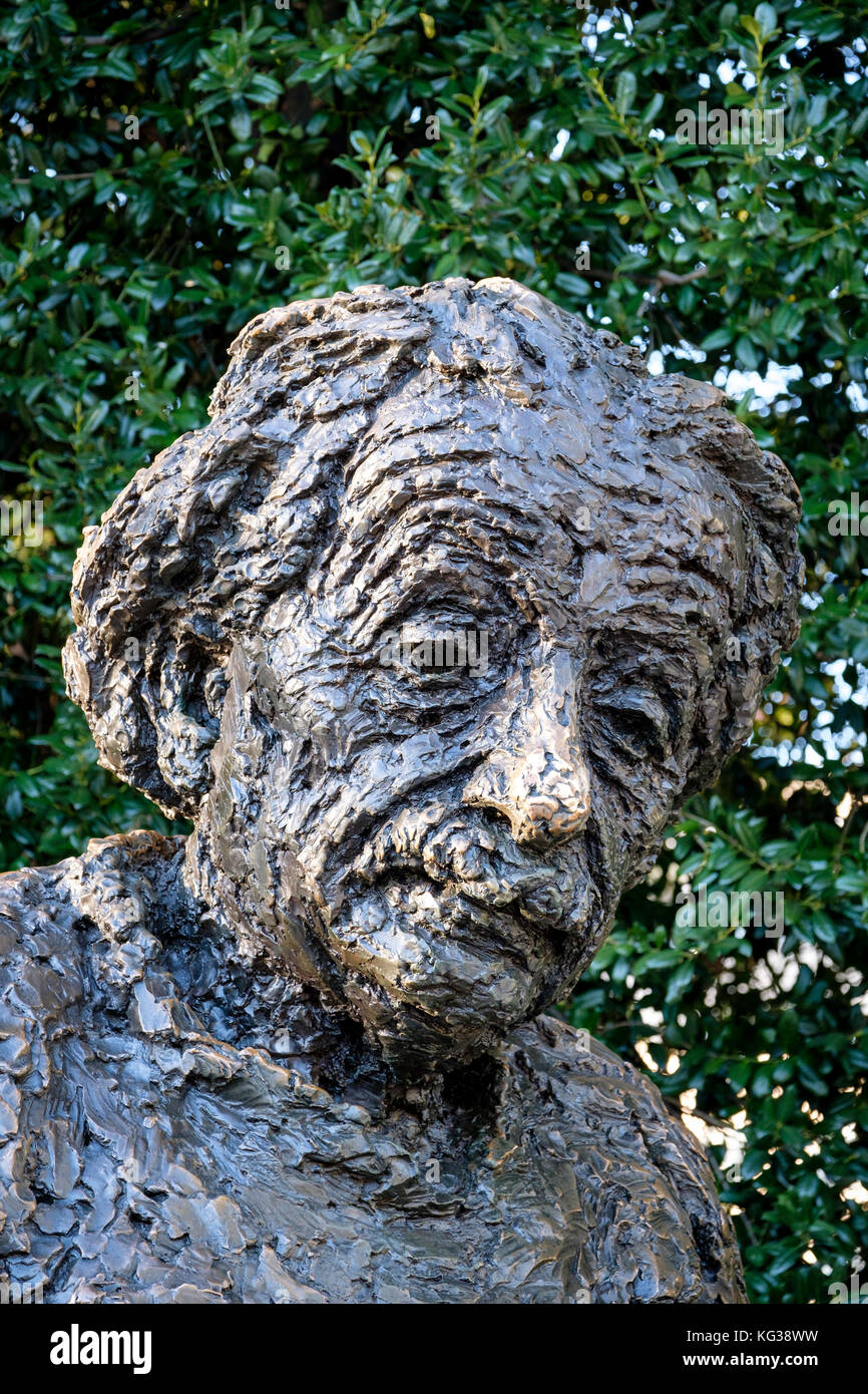 Close-up di Albert Einstein faccia della statua in bronzo di Albert Einstein Memorial, a Washington, Stati Uniti d'America, Stati Uniti d'America. Foto Stock