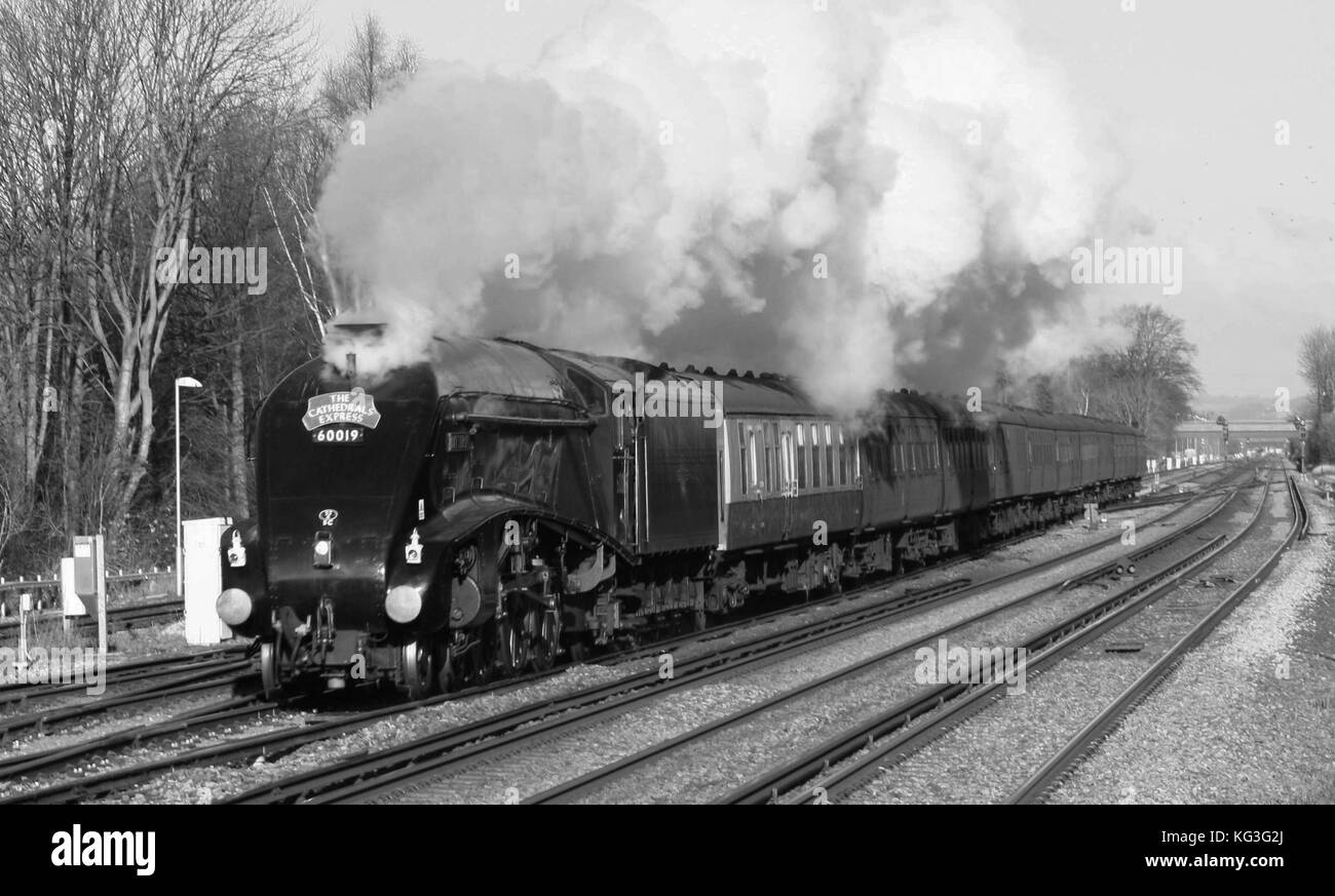 Tarabuso a tre ponti Foto Stock