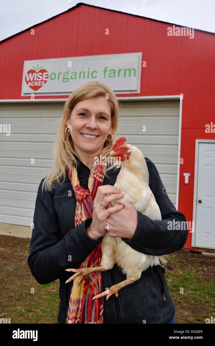 Donna l'agricoltore che detiene una gallina ovaiola nella parte anteriore del palo metallico fienile/capannone di wise acri azienda agricola biologica, un u-pick in indian trail, North Carolina, Stati Uniti d'America Foto Stock